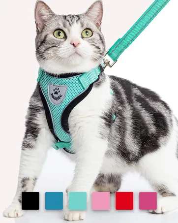 PUPTECK 2 PCS Soft Leather Cat Kitten Collar-Orange, Purple, Black, Khaki, Pink, Blue Orange&Purple - harness