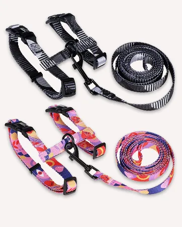 PUPTECK 2 PCS Soft Leather Cat Kitten Collar-Orange, Purple, Black, Khaki, Pink, Blue Orange&Purple - harness