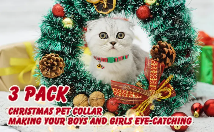 VKPETFR Breakaway Cat Collars with Bell & Cute Pendants - 3 Pack Adjustable Safety Kitten Collars - Collar for Kitten Cat Christmas - christmas cat collar