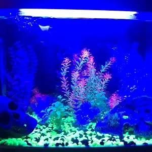 VARMHUS Submersible LED Aquarium Light,Fish Tank Light with Timer Auto On/Off Dimming Function,3 Light Modes Dimmable White-Blue,10 Brightness Levels Optional&3 Levels of timed Loop Function 7.5'' 7.5'' Timmer&Dimmer White&blue - aquarium light