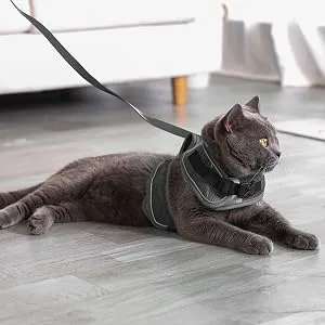 PATTEPOINT Escape Proof Mesh Cat Harness and Leash Set, Adjustable Walking Jacket Vest for Extra Kittens, Full-Edge Reflective Strips Provide Protection for Cats Walking at Night Grey Medium - cat harness