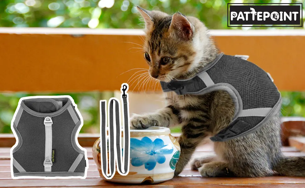 PATTEPOINT Escape Proof Mesh Cat Harness and Leash Set, Adjustable Walking Jacket Vest for Extra Kittens, Full-Edge Reflective Strips Provide Protection for Cats Walking at Night Grey Medium - Pattepoint Cat Harness and Leash Set