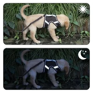 PATTEPOINT Escape Proof Mesh Cat Harness and Leash Set, Adjustable Walking Jacket Vest for Extra Kittens, Full-Edge Reflective Strips Provide Protection for Cats Walking at Night Grey Medium - reflective strips