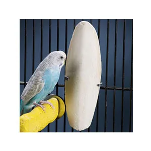 Mivofun 2PCS Natural Cuttlebone for Tortoise Turtles Snails Birds Cockatiels Parakeets Budgies Reptiles Small Animals(4"-4.5",Small) - for small little birds