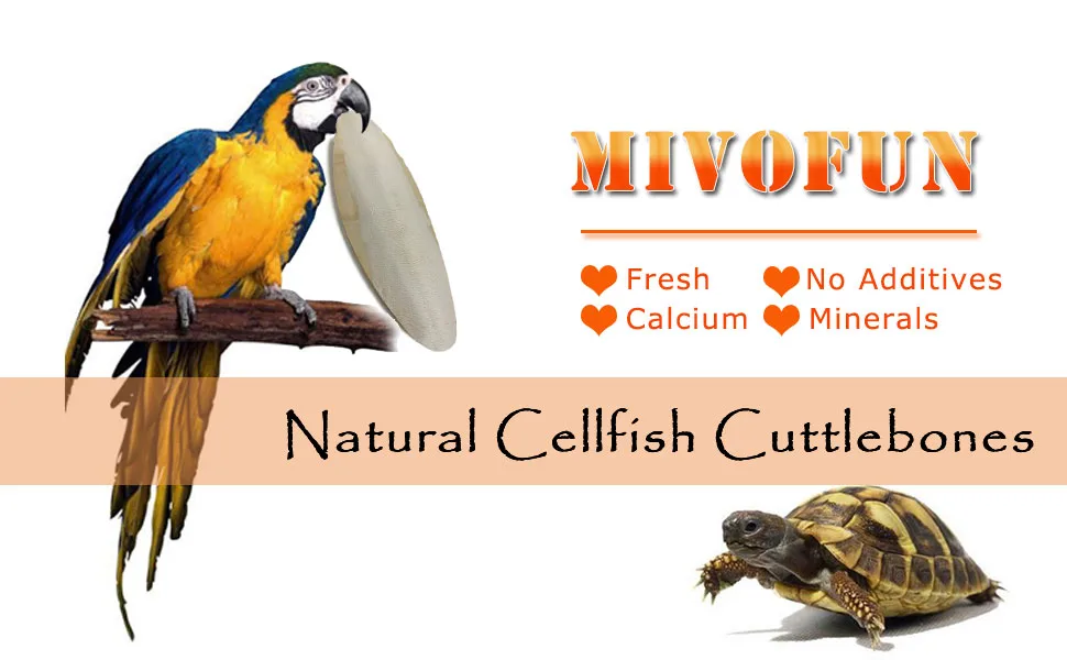 Mivofun 2PCS Natural Cuttlebone for Tortoise Turtles Snails Birds Cockatiels Parakeets Budgies Reptiles Small Animals(4"-4.5",Small) - mivofun fresh natural cuttle bones