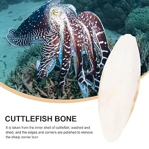Mivofun 2PCS Natural Cuttlebone for Tortoise Turtles Snails Birds Cockatiels Parakeets Budgies Reptiles Small Animals(4"-4.5",Small) - NON FLUORESECENT AGENT NO BLEACH
