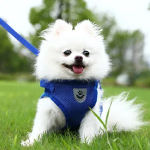 LABOTA Cat Harness and Leash Set for Walking, Escape Proof Soft Adjustable Vest Harnesses S(Chest: 11"-13") Blue - product information 6