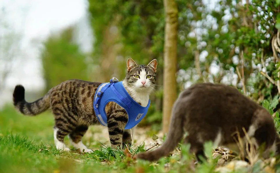 LABOTA Cat Harness and Leash Set for Walking, Escape Proof Soft Adjustable Vest Harnesses S(Chest: 11"-13") Blue - product information 8