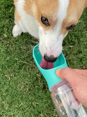 WePet Portable Dog Water Bottle with Food Container, 12 OZ, 19 OZ, Leak Proof Puppy Water Dispenser with Drinking Feeder for Pets Outdoor Walking, Hiking, Travel, Food Grade Plastic 12 oz #01 Navy Blue - how to use