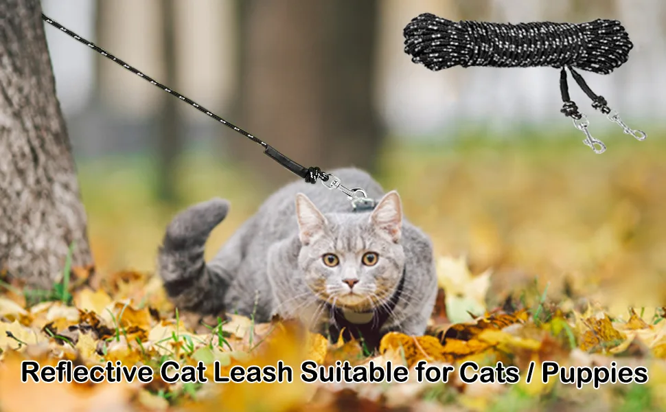 Extra Long Cat Leash for Yard, Lightweight Outdoor Cat Leash Long Light Extension, Long Thin Lead for Rabbits, Kitten, Puppy and Small Animals 9M/30FT - product information 2
