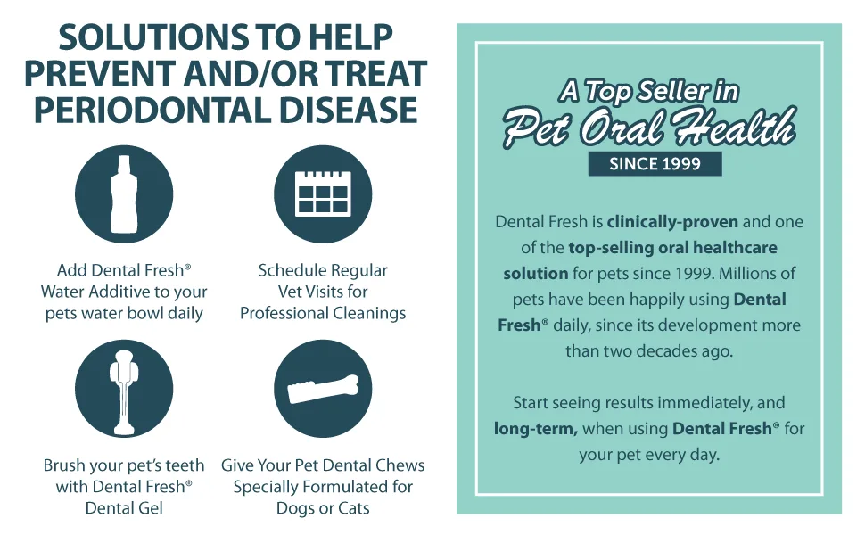 Dental Fresh Water Additive for Dogs, Original Formula 17 oz - solutions to help prevent periodontal disease