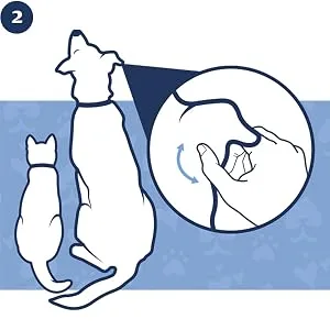 PetArmor Ear Rinse for Dogs & Cats, 4 oz - Step 2, Massage ear, gently massage ear rinse at the base of your pet