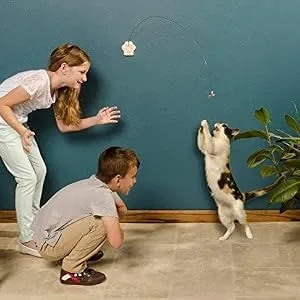 CAT DANCER Deluxe 252 Cat Toy, Medium Breeds - product information 2