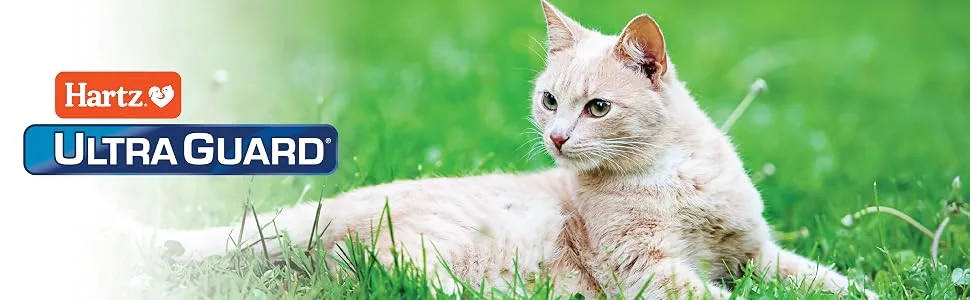 Hartz UltraGuard Topical Flea & Tick Prevention for Cats and Kittens - 3 Monthly Treatments - cat topical banner