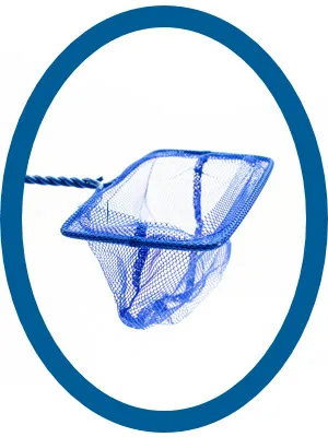 PENN-PLAX Quick-Net Aquarium Fish Nets  Durable, Strong, and Safe  Color May Vary (Blue or Green) 4" Net - QN Penn Plax Penn-Plax Quick Net Quick-Net Aquarium Fish Net Plastic Mesh Blue Green Safe Gentle