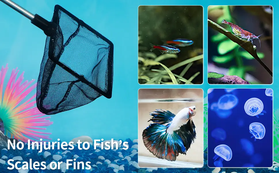 Pawfly Aquarium Fish Net with Extendable 9-24 Inch Long Handle for Betta Fish Tank Small Koi Pond and Pool - product information 18