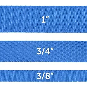 PetSafe Nylon Dog Leash - Strong, Durable, Traditional Style Leash with Easy to Use Bolt Snap - Available in Multiple Widths and Colors 3/8 in. x 6 ft. Black - ,cool dog collars,retractable dog leash,dog collar tags,puppy collars,pet collars, nylon, durable