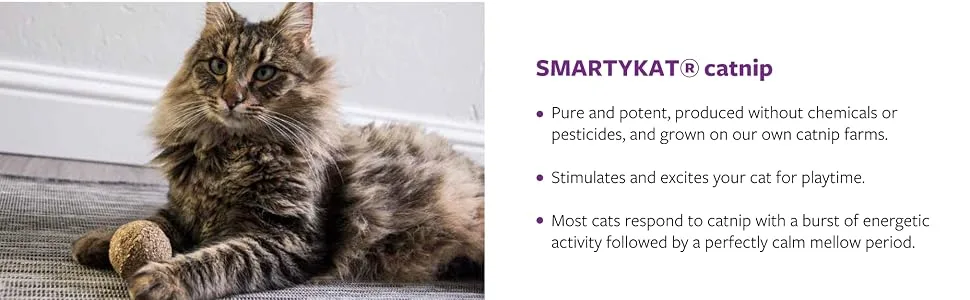 SmartyKat Catnip Mist & Catnip Bubbles for Cats & Kittens, Stimulating, Fun & Engaging Play - Multiple Sizes Catnip Bubble 0.6 oz - smartykat