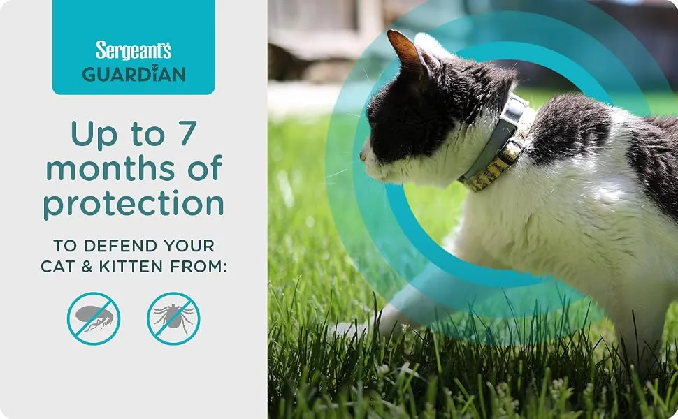 Sergeant's Guardian Flea & Tick Cat Collar, 1 Count - cat collar