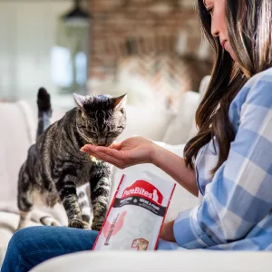 PureBites Minnow Freeze Dried Cat Treats Tuna - image