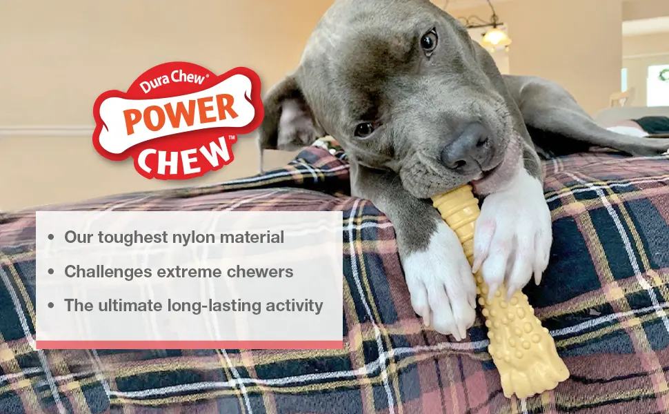 Nylabone Power Chew Dog Bones for Aggressive Chewers Tough Chew Toys for Dogs Bacon X-Small/Petite (1 Count) - Power Chew