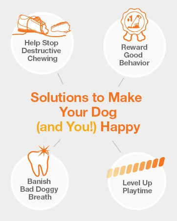 Nylabone Healthy Edibles All-Natural Long Lasting Dog Chew Treats 2 Count Beef Medium/Wolf - Solutions