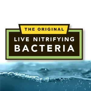 Fritz Aquatics FritzZyme 7 Nitrifying Bacteria for Fresh Water Aquariums 16 oz - fritzzyme 7