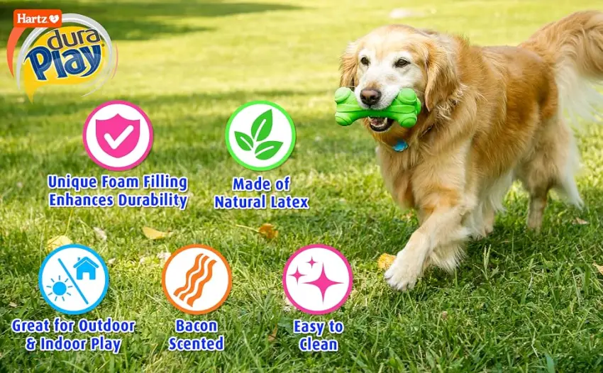 Hartz Dura Play Bacon Scented Squeak Bone Dog Toy, Multiple Dog Toy Sizes & Pack Sizes Small - dura play benefits