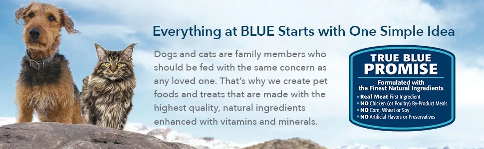 Blue Buffalo Wilderness Grain Free Soft-Moist Cat Treats Chicken & Turkey 2 Ounce (Pack of 1) - Everything at BLUE Starts with One Simple Idea. Dogs and cats are family members. Blue Buffalo