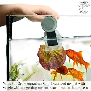 Luffy Aquarium Clip, 4x2 Inches, Holds Veggies, Betta Bed, Feeding Accessories, 1 Pc per Pack - water clip