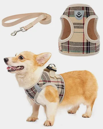 KOOLTAIL Cat Collar with Pendant 3 Packs - Christmas Pet Collars Glow in The Dark Golden Bell Patterns for Cats Small Dog - product information 13