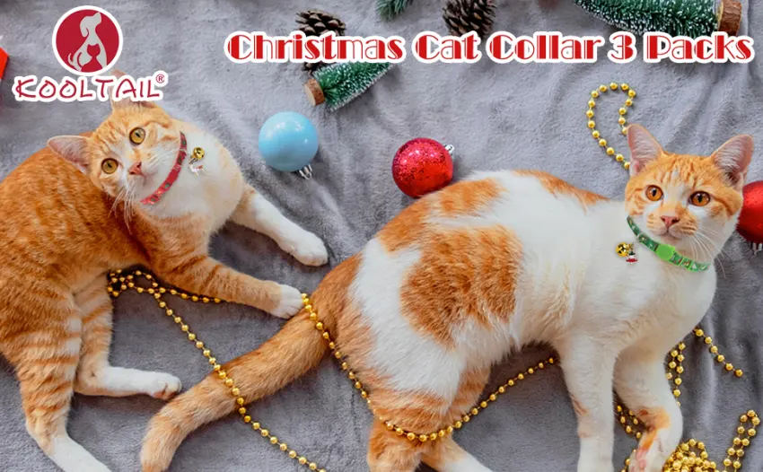KOOLTAIL Cat Collar with Pendant 3 Packs - Christmas Pet Collars Glow in The Dark Golden Bell Patterns for Cats Small Dog - product information 22