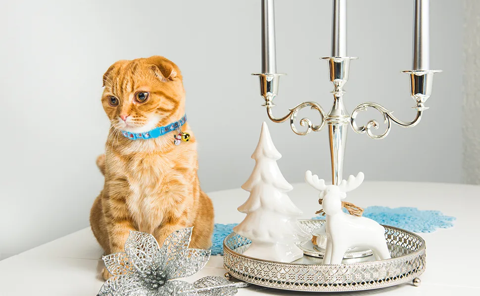 KOOLTAIL Cat Collar with Pendant 3 Packs - Christmas Pet Collars Glow in The Dark Golden Bell Patterns for Cats Small Dog - product information 25