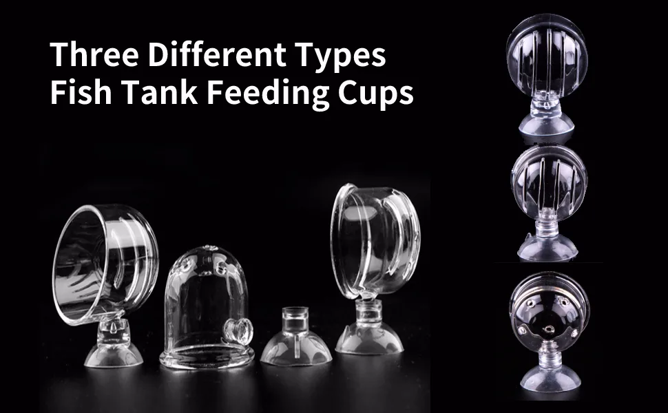 Pssopp Aquarium Red Worm Fish Feeder Transparent Suction Cup Fish Tank Feeding Cup Food Container for Feeding Shrimp Fish Acrylic Crack Cup - Aquarium Red Worm Fish Feeder