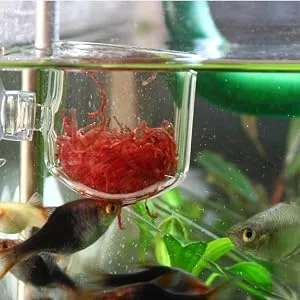 Pssopp Aquarium Red Worm Fish Feeder Transparent Suction Cup Fish Tank Feeding Cup Food Container for Feeding Shrimp Fish Acrylic Crack Cup - Aquarium Red Worm Fish Feeder