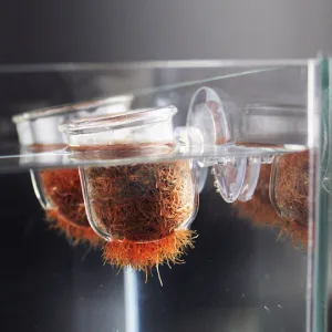 Pssopp Aquarium Red Worm Fish Feeder Transparent Suction Cup Fish Tank Feeding Cup Food Container for Feeding Shrimp Fish Acrylic Crack Cup - Aquarium Red Worm Fish Feeder