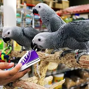 Birds LOVE Cuttlebone for Birds - Cuttlebone for Tortoise & Snails, Bird Cuttlebone for Parakeet & All Breeds, Calcium Block for Birds Alternative - Pack of 2 Cuttlefish Bone - Medium, 3.5 to 4 Inches - birds LOVE toys