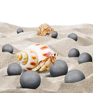 Sungrow 10 Hermit Crab, Crayfish Calcium Supplement Balls, Beneficial For Molting Pets, With Over 30 Beneficial Minerals - product information 2