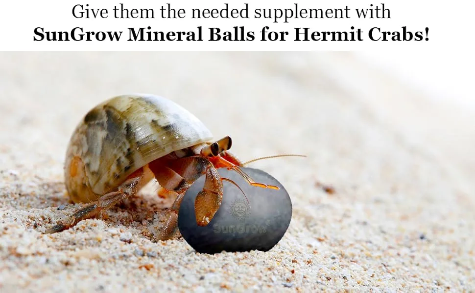Sungrow 10 Hermit Crab, Crayfish Calcium Supplement Balls, Beneficial For Molting Pets, With Over 30 Beneficial Minerals - product information 4