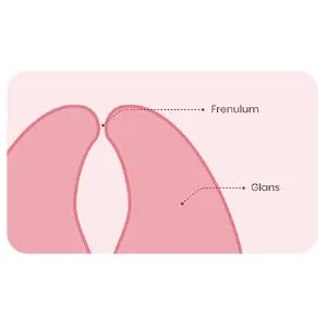 Promescent Climax Control Spray For Men - 2.6 ML. - Applying premature ejaculant spray to last longer and be the ultimate couples sex things for men