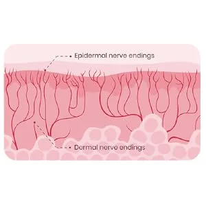 Promescent Climax Control Spray For Men - 2.6 ML. - Promescent spray for men absorbs into the dermis and epidermis layer reducing sensitivity