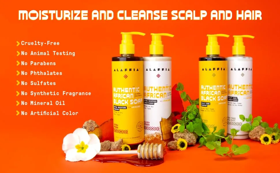 Alaffia Authentic African Black Soap Scalp Care Shampoo and Conditioner - For All Hair Types Normal to Dry Scalp  Nourishes & Soothes the Scalp with Shea Butter & Neem Oil  Tea Tree & Mint  12 Fl Oz Each - Scalp care 2