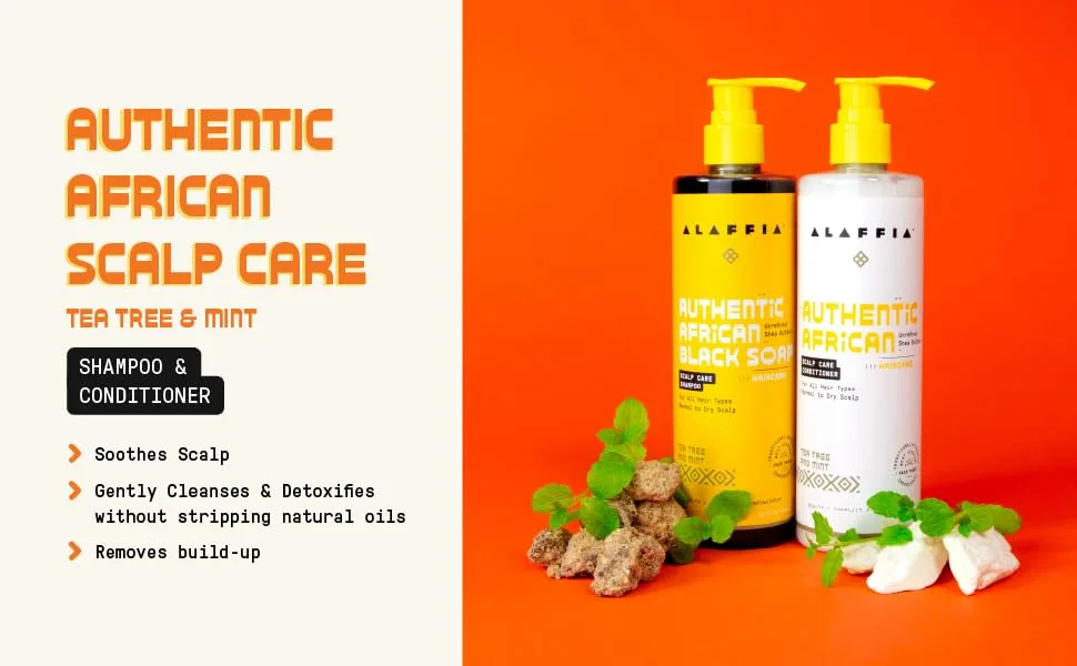 Alaffia Authentic African Black Soap Scalp Care Shampoo and Conditioner - For All Hair Types Normal to Dry Scalp  Nourishes & Soothes the Scalp with Shea Butter & Neem Oil  Tea Tree & Mint  12 Fl Oz Each - Scalp care 6