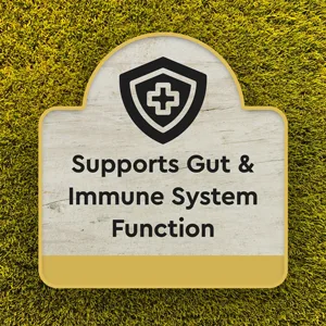 Ancestral Supplements Grass Fed Beef Colostrum - 3000 MG - 180 Capsules - Image