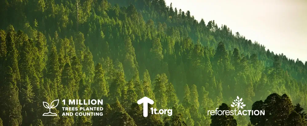 Tea Tree Special Shampoo, Deep Cleans, Refreshes Scalp, For All Hair Types, Especially Oily Hair Shampoo, 10.14 Fl Oz - tea tree reforest action 1t.org 1 million trees planted and counting