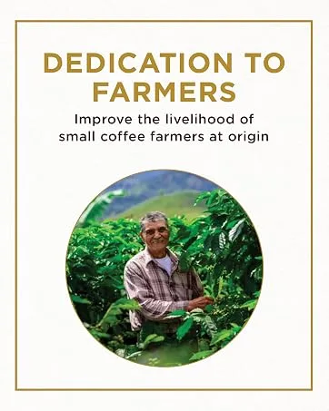 Don Francisco's Vanilla Nut Flavored Ground Coffee (3 x12 oz Cans) Vanilla Nut 12 Ounce (Pack of 3) - DEDICATION