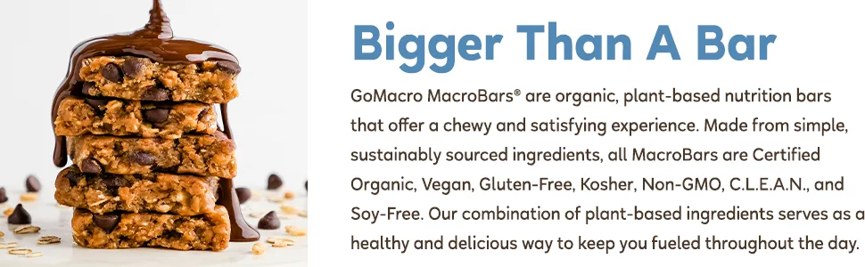 GoMacro MacroBar Organic Vegan Protein Bars - Oatmeal Chocolate Chip (2.3 Ounce Bars, 12 Count) - OCC Product