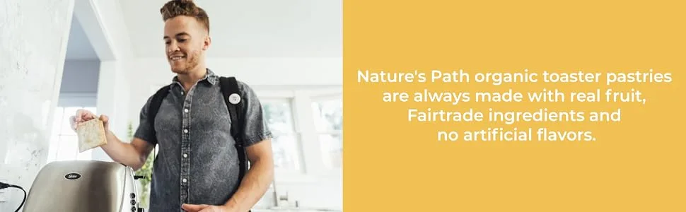 Nature's Path Organic Toaster Pastries, Frosted Chocolate, 72 Count (Pack of 12, 11 Oz Boxes), Made From Real Cacao - toaster pastry