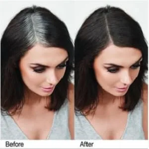 EVERPRO Gray Away Root Touchup Quik Stk Lightest Brown/Medium Blonde 0.10oz - GA Color shade