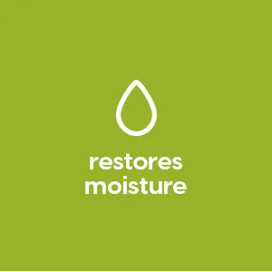 NutraBlast Tea Tree Oil Suppositories (12 Count) | All Natural Intimate Deodorant for Women | Restore Feminine pH Balance | Made in USA - restores moisture